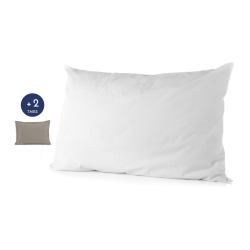 PACK MOELLEUX | 1 Oreiller...