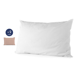 PACK MOELLEUX | 1 Oreiller...